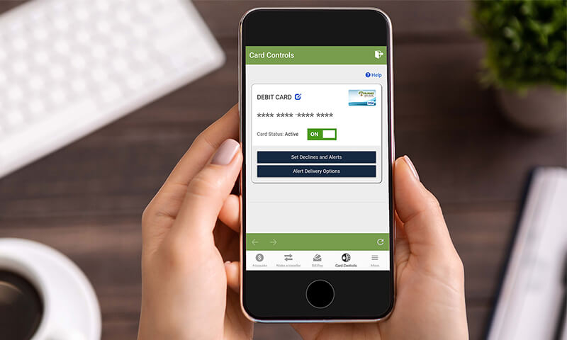 Debit Card Controls example